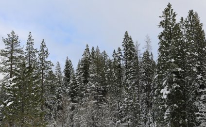 Applied Staffing | A division