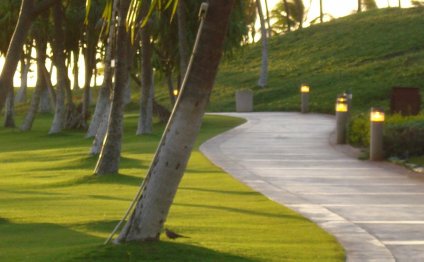 Olsten Staffing Services