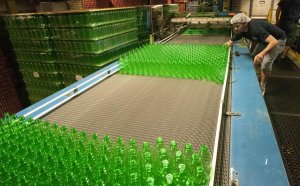 Diamond Staffing Services Inc