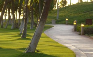 Olsten Staffing Services