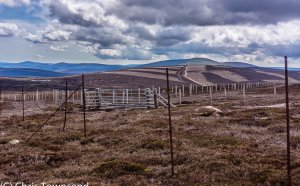 Pure Staffing Solutions